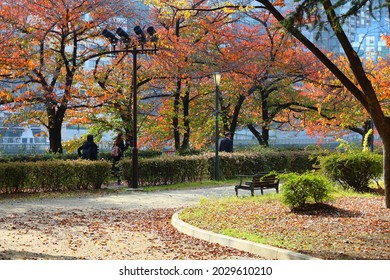 大阪城 紅葉 の画像 写真素材 ベクター画像 Shutterstock