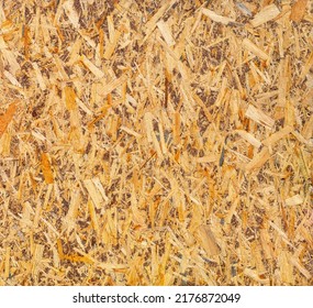 OSB Plate High-quality Texture. Building Material. Abstract Background.