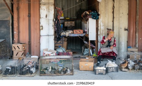 Osh, Kyrgyzstan - May 2022: Old Woman Selling Chicken And Roosters In Cages In A Local Food Bazaar