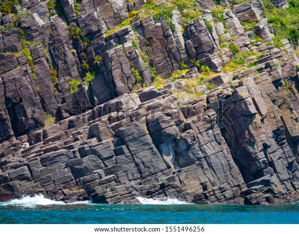 Oshima Island Platy Joint Anto Mikunicho Stock Photo 1551496256 ...