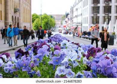Oslo, Norway - August 2, 2019: Vases with lilac and blue flowers as street decoration on Karl Johans gate street