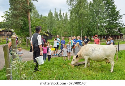 OSLO, NORWAY - JULY 11, 2016: Norwegian Museum Of Cultural History. Tourists Look As  Farmer Feeds Cow On Farm