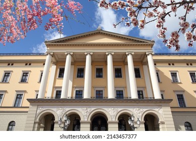 Oslo Royal Palace In Norway. Spring Time Cherry Blossoms.