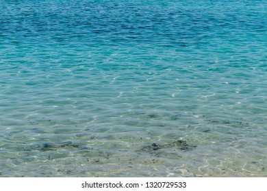 Osprey Bay Camp Site -Ningaloo Reef