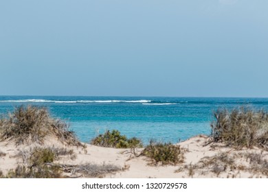 Osprey Bay Camp Site -Ningaloo Reef