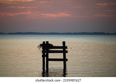 Osprey Nest On The Water