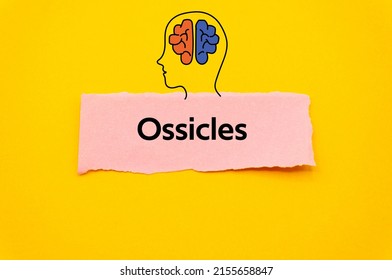 Ossicles.The word is written on a slip of colored paper. Psychological terms, psychologic words, Spiritual terminology. psychiatric research. Mental Health Buzzwords.