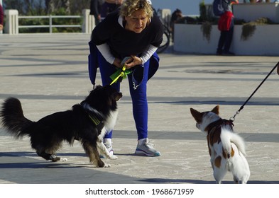 Ostia, Rome, Italy - 02 May 2021, Two Dogs Bickering On The Ostia Roundabout.