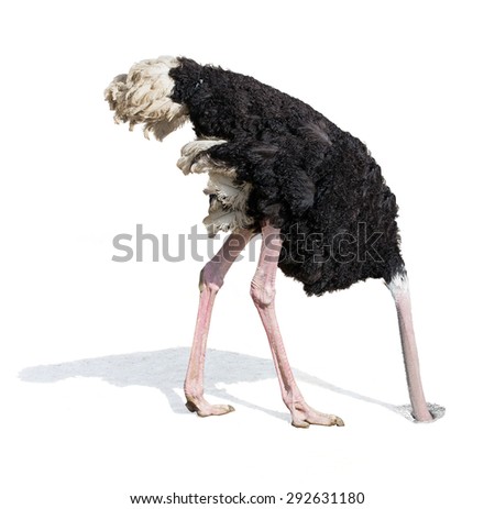 ostrich burying head in sand ignoring problems