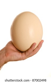 Ostrich Egg