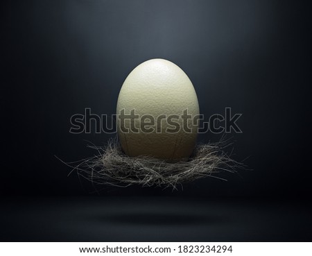 Ostrich egg in a nest floating in the air photographed in studio with a dark moody environment, fine art. Stock