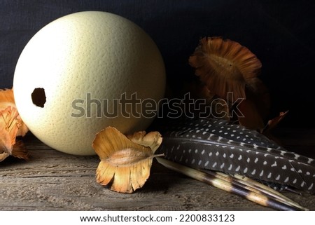 OSTRICH EGG SHELL WITH GUINEA FOWL FEATHERS AND DRY SEED PODS