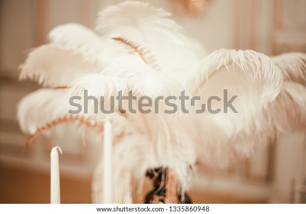 Ostrich Feathers Decorative Element Festive Table Stock Photo