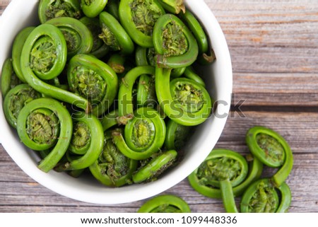 Ostrich Fern Fiddleheads bowl ready to cook with this seasonal ingredient