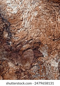 the other side is the texture behind the dry bark of a tree