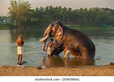 3,080 Elephant Trainer Images, Stock Photos & Vectors | Shutterstock