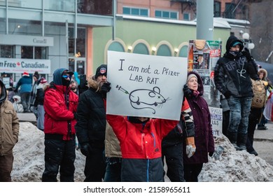 OTTAWA, CANADA - Feb 07, 2022: A Boy Holding Up A Sign Demonstrating He Is Not A Lab Rat At The Freedom Convoy Protest