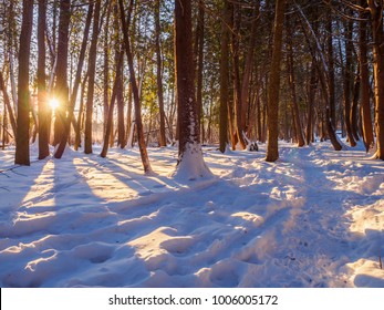 Ottawa Green Belt Trail In Winter At Sunrise