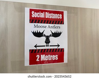 Ottawa Ontario Canada August 4 2021. Physical Distancing Moose Antlers Two Meters Apart Social Distancing Signage.