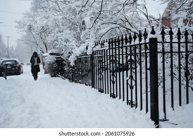 Ottawa, Ontario, Canada - January 16, 2021: Ottawa during a fresh dumping of 25cm. Pedestrian walks down a snowy sidewalk by a snow covered garden fence.
