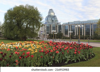 Ottawa Tulip Festival With National Art Gallery In The Background