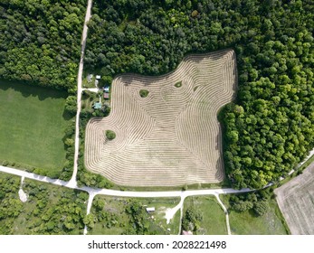 Ottawa Valley Farmer's Field Aerial View