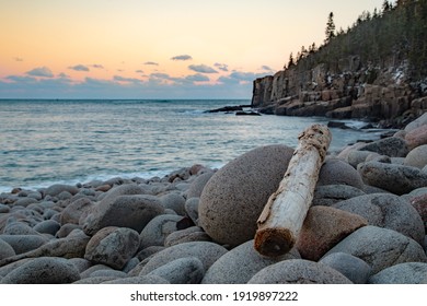 Otter Cliffs Acadia National Park Winter