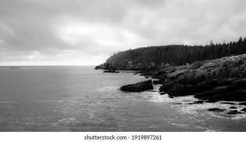 Otter Cliffs Acadia National Park Winter