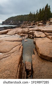 Otter Cliffs Acadia National Park Winter