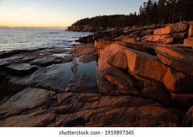 Otter Cliffs Acadia National Park Winter