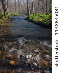 Otter Creek flows full with spring runoff through the forest at Baxter