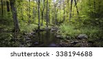 Otter Creek flows peacefully through the autumn woods at Baxter