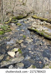 Otter Creek Park And Forest 