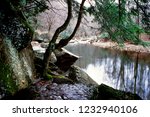 Otter Creek Wilderness, Tucker County, West Virginia, USA