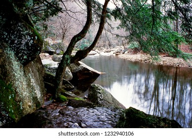 Otter Creek Wilderness, Tucker County, West Virginia, USA