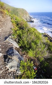 Otter Hiking Trail