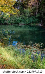 Otter Lake, Blue Ridge Parkway, Virginia, USA.