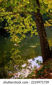 Otter Lake, Blue Ridge Parkway, Virginia, USA.