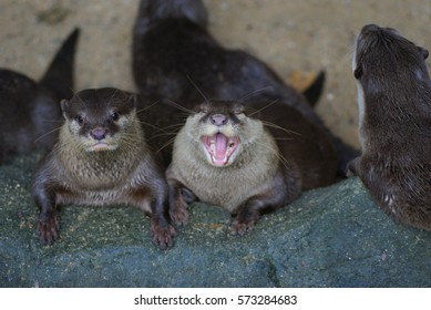 31 Baby Yawning While Playing Images, Stock Photos & Vectors | Shutterstock