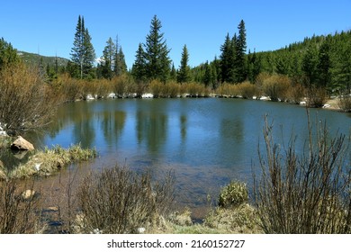 Otter Pond In Red Feather Lakes, Colorado In Early Evening