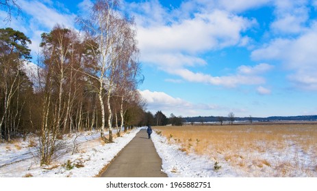 Otterlo Netherlands - 13 February 2021 - Snow In National Park Hoge Veluwe