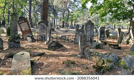 Otwock area, Poland, October 2021: abandoned 19th century Jewish cemetery hidden in the forest. Forgotten tombstones and matzevas of deceased Jews are constantly deteriorating.