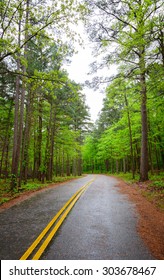 Ouachita National Forest