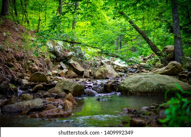 Ouachita National Forest Stream Water 