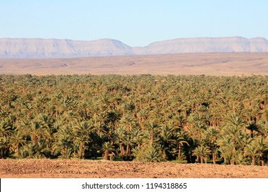 Ouarzazate Valley, Morocco, Africa