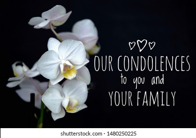 Our Condolences To You And Your Family Greeting Card. White Orchid On Black Background