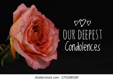 Our Deepest Condolences Card. Deep Pink Rose On Black Background With Text