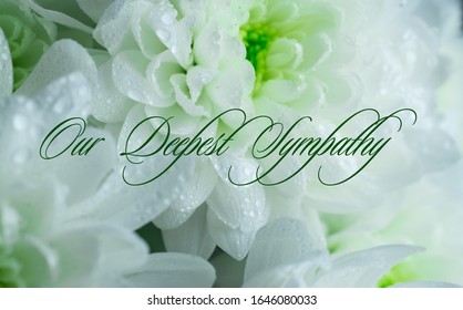 our deepest condolences message  white  and green flowers black background