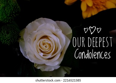 Our Deepest Condolences Sympathy Card. Beautiful Rose On Black Background With Text