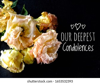 Our Deepest Condolences Text Beside Old Stock Photo 1653532393 ...